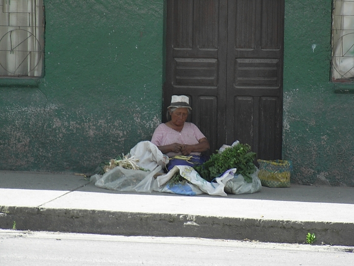 Kraeuterverkauf - Ecuador